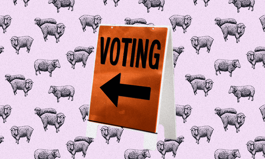 a pink background with sheep and a 'voting' sign