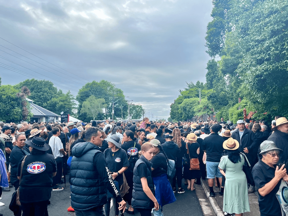 The huge crowd of manuhiri outside the waharoa.