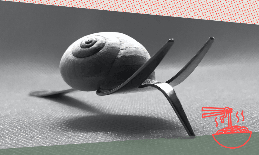 The year of slow | The Spinoff The year of slow | The Spinoff