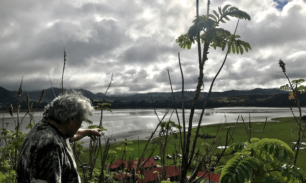 Hank from Taiao points out his marae on the hill. (Photo: Nadine Anne Hura) 
