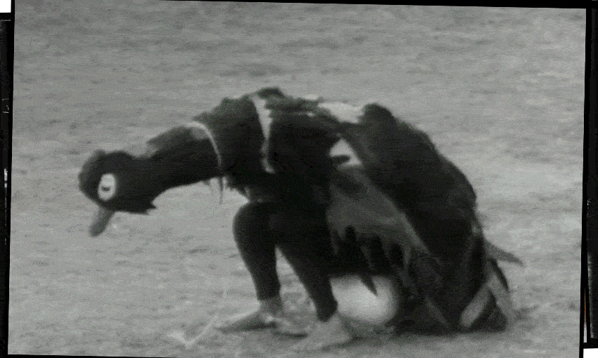 Ten of the most memorable Waitangi Days