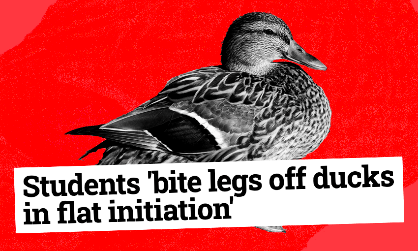A real headline (Image design: Tina Tiller) 
