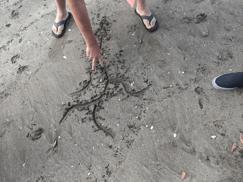 a jandalled mand draws a wiggly line in the sand