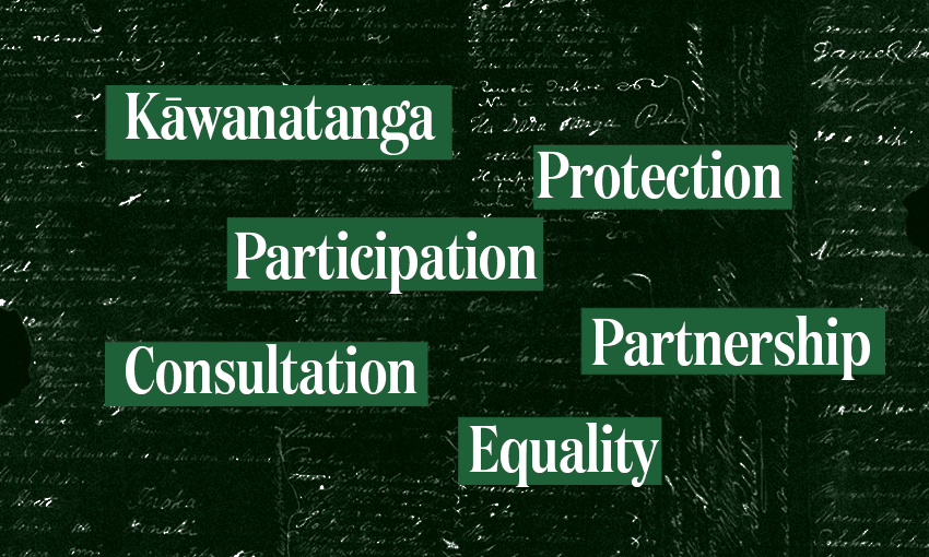 The principles of the Treaty of Waitangi, explained