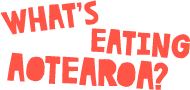 What's eating Aotearoa