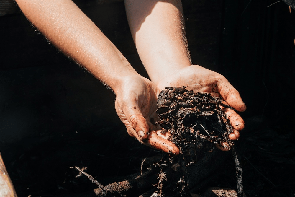 hands filled with compost