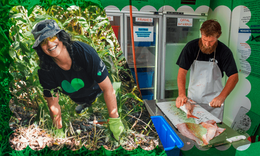 Pamela Gill at a weeding bee by the stream on Dundale Ave, and a Kai Ika Project kaimahi at a filleting station (Photos: Deborah Teh for EcoMatters Environment Trust, Guy Macindoe for The Kai Ika Project; additional design by Tina Tiller) 
