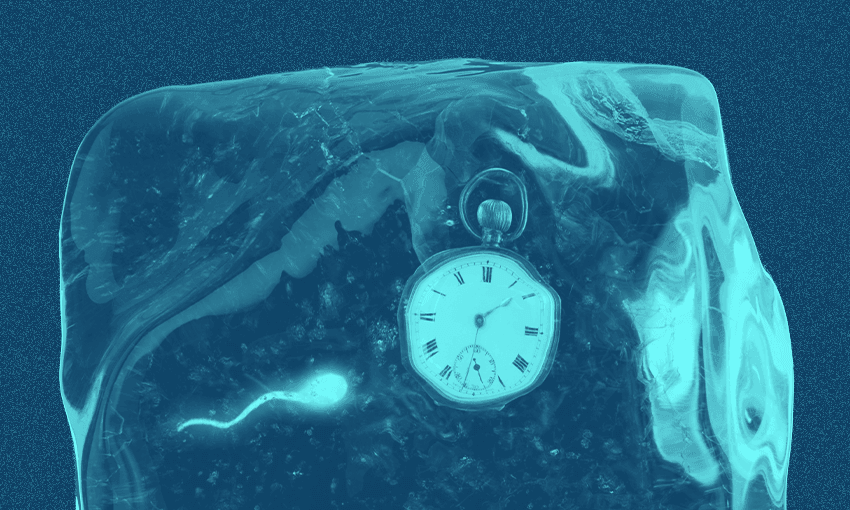 The 10 year limit on storing embryos and gametes is causing some patients heartache. (Image: Tina Tiller)