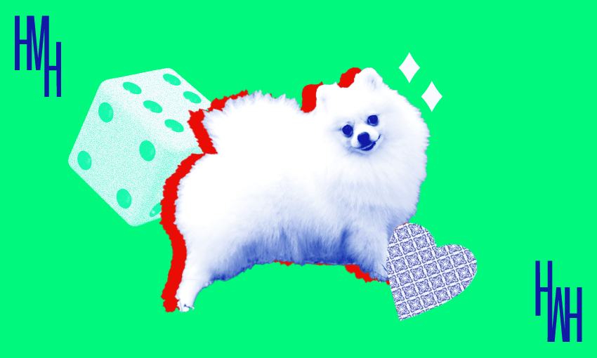 I am NOT inventing fake scenarios to feign outrage at. (Image: Tina Tiller)