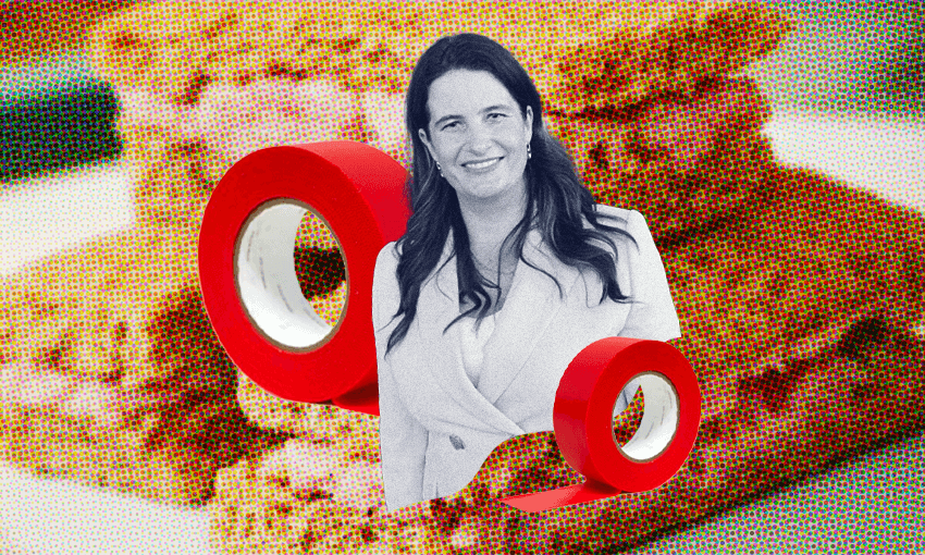 Nicola Willis is anti-red-tape and pro ham sandwich. Image: Tina Tiller. 
