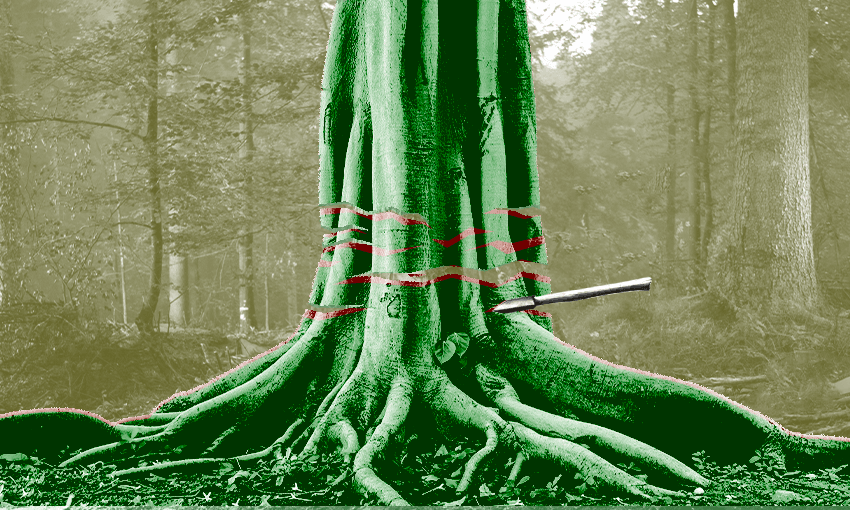 Image by Tina Tiller 
