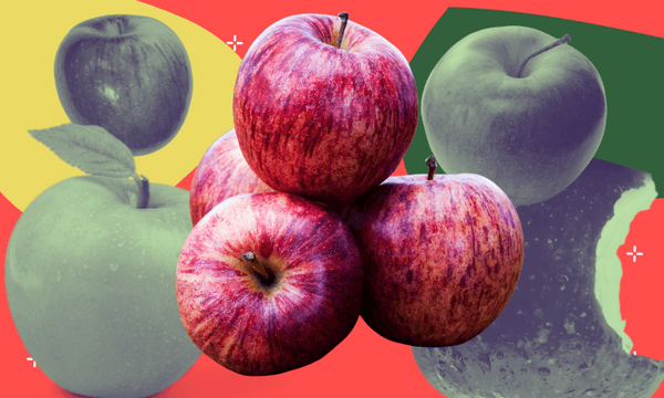 Royal Gala apples are the most popular variety in Aotearoa (Image: Shanti Mathias) 

