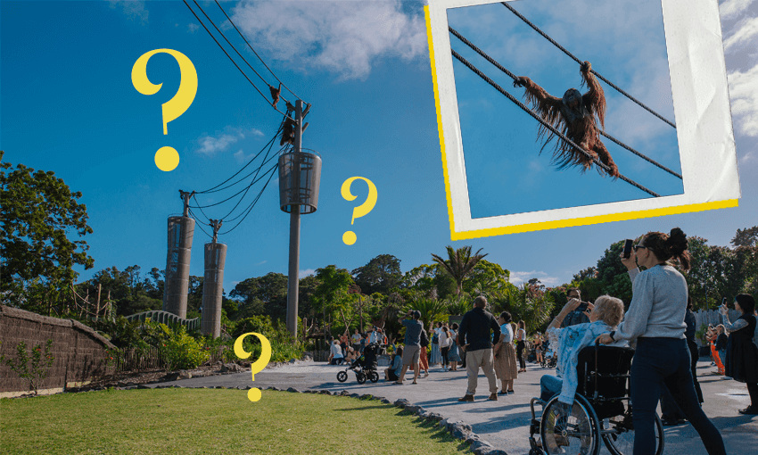 Why not simply swing on down to the food kiosk for some hot chips? (Image: Tina Tiller) 
