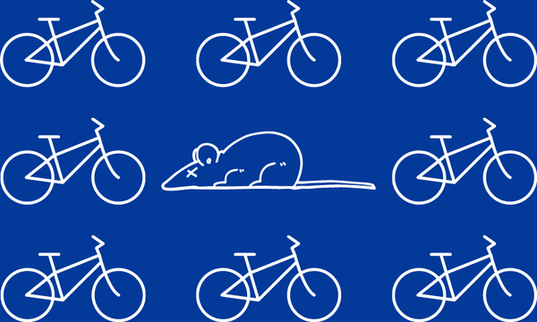 How a dead rat on the cycleway represents everything I love about biking