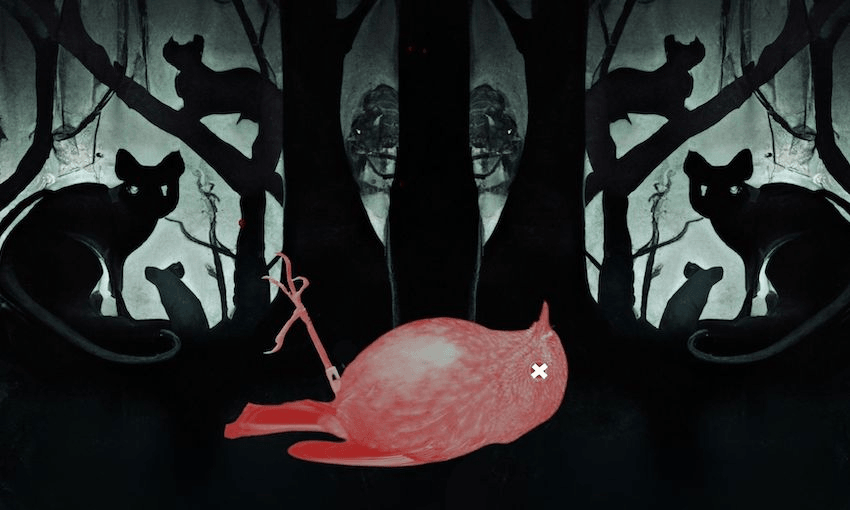 Who (or what) is killing all the robins?