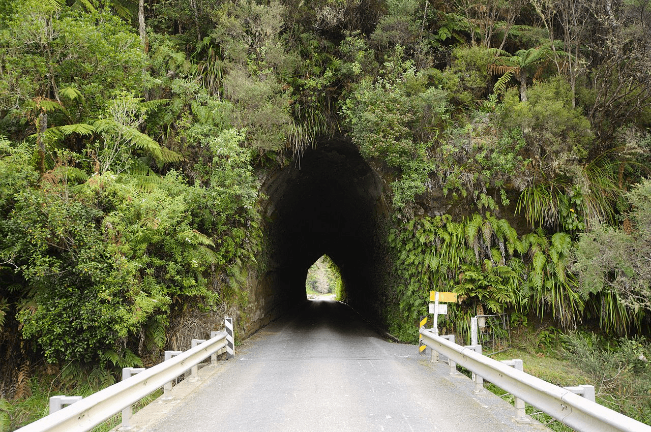 photo from the outside of the entrance of Okau Road tunnel. Lots of native bush around the entrance