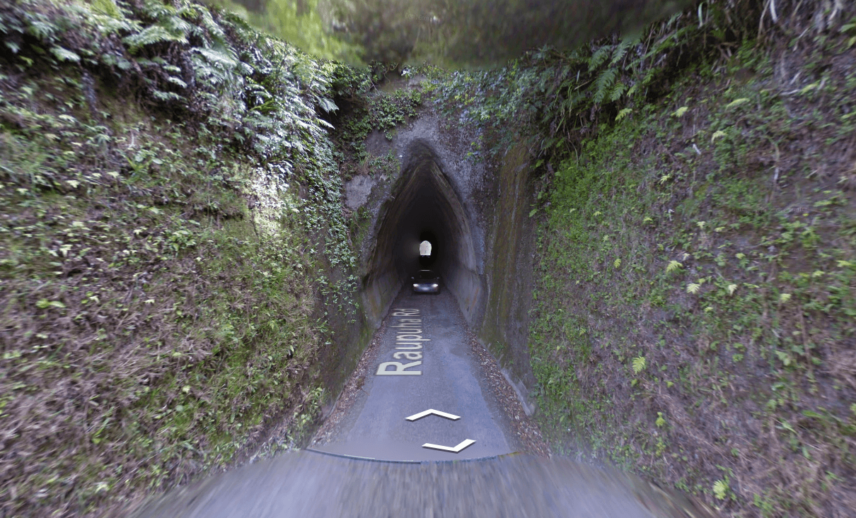 Entrance of Huinga tunnel. Yonic shaped and cut into mossy stone