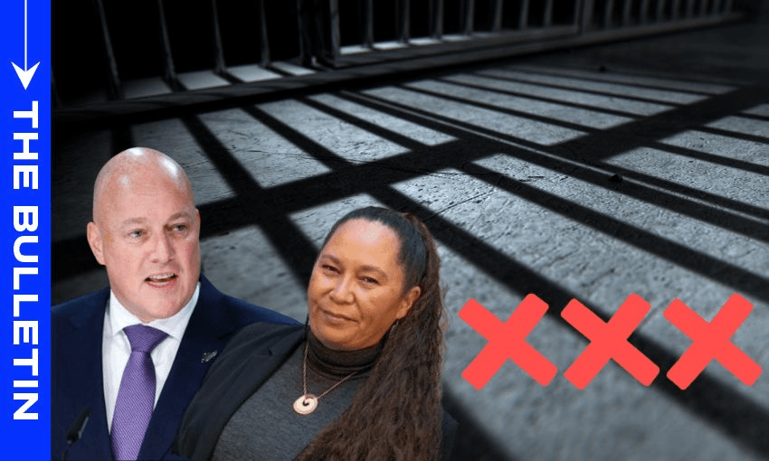 Prime minister Christopher Luxon and associate justice minister Nicole McKee fronted the three strikes announcement. 
