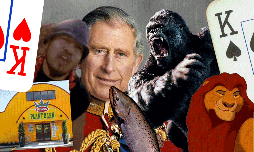 Just a few kings (Image: Tina Tiller)