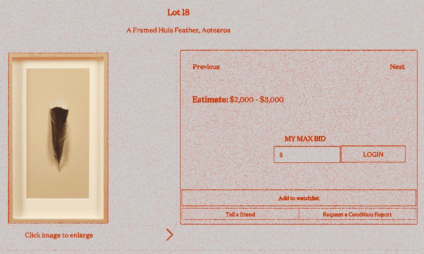 Webb’s describes the feather as ‘beautifully preserved, rare and highly coveted’ (Photo: Screenshot) 
