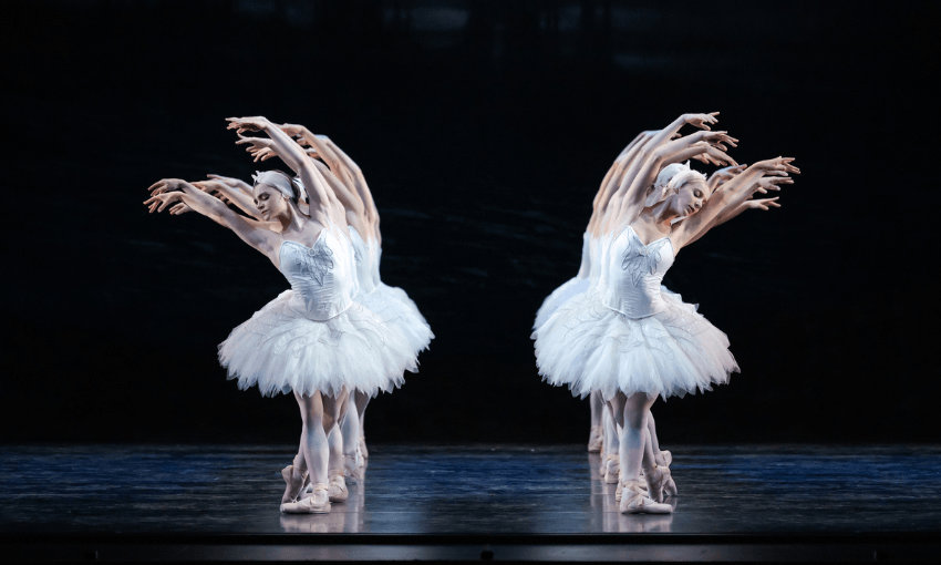 In Swan Lake, the coordination of the corps de ballet is essential to the performance (Photo: RNZB/Stephen A’Court) 
