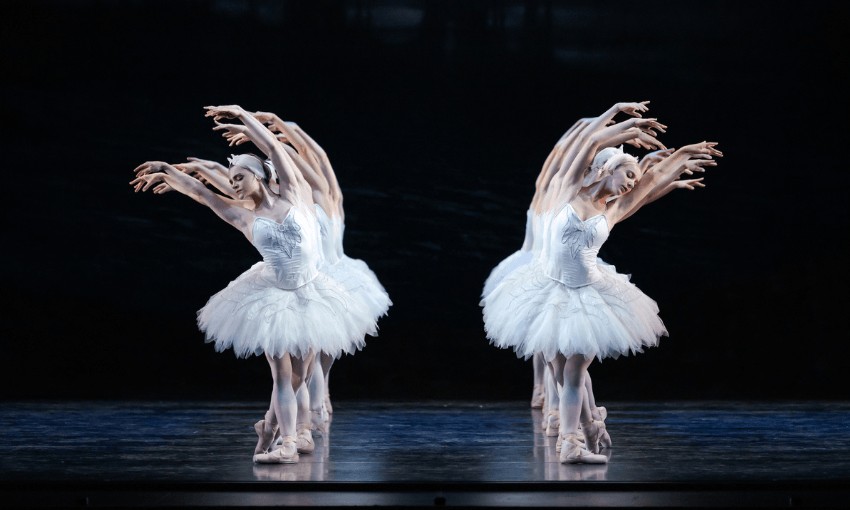 two lines of dancers in swan costumes, sparkly and snowy white tutus, arching away from each other with perfect poise and synchrony
