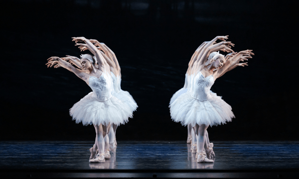 two lines of dancers in swan costumes, sparkly and snowy white tutus, arching away from each other with perfect poise and synchrony