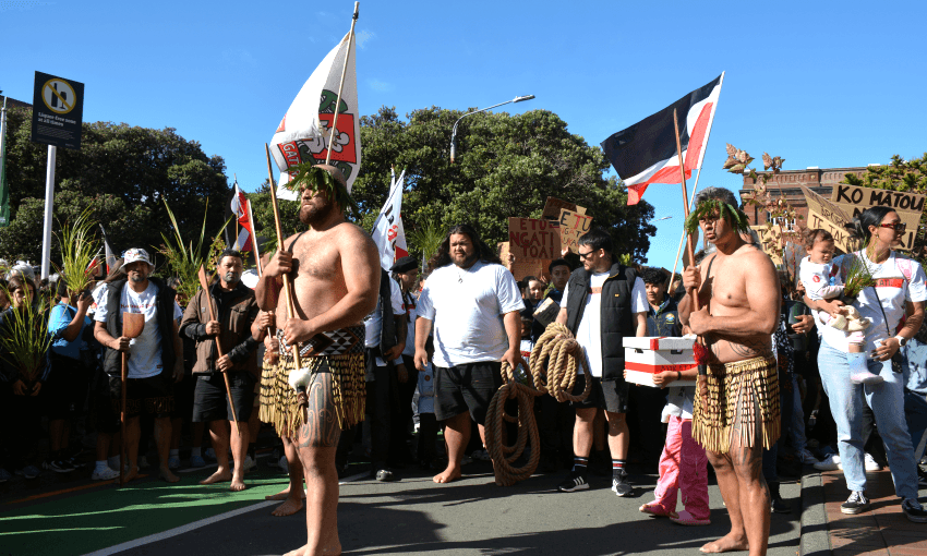 The Ngāti Toa hikoi to parliament, May 8, 2024. (Photo: Ngāti Toa) 
