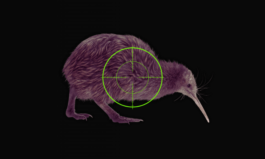 The kiwi is in Shane Jones’s sights  
