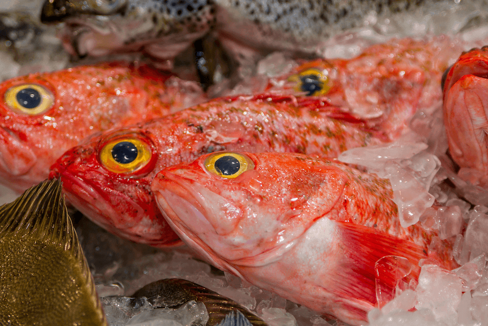 Orange roughy fish on ice in Sydney.