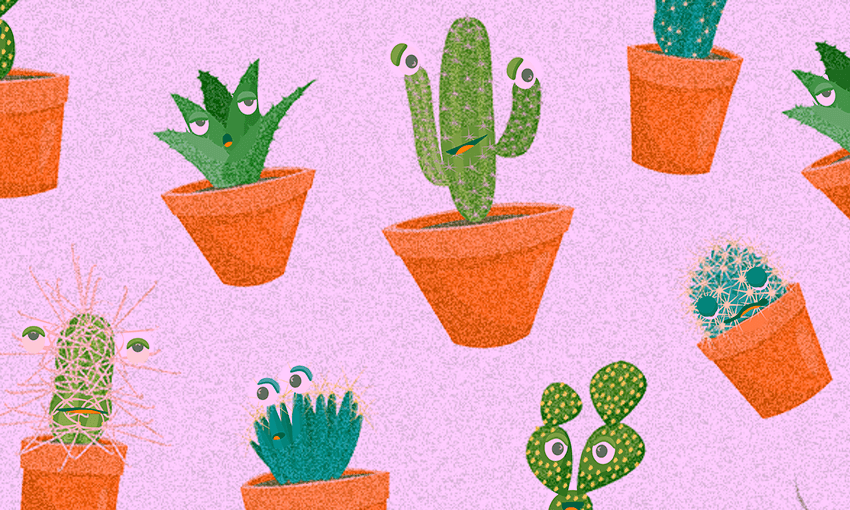 Houseplant pals (Image: Tina Tiller) 
