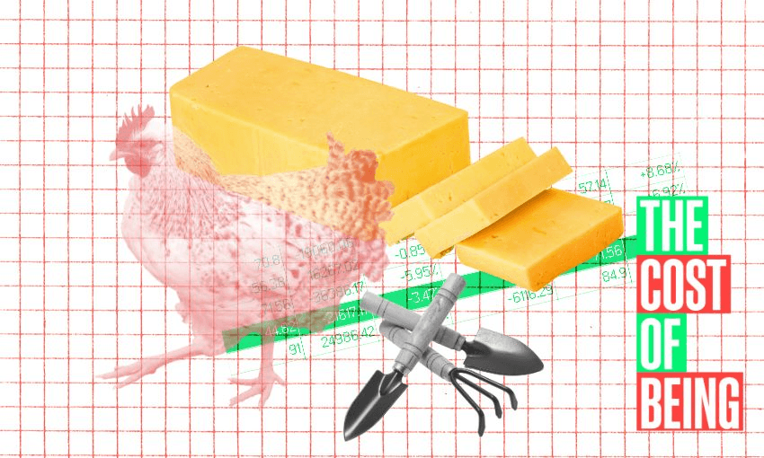 The cost of being: A cheese-loving chicken owner in her early 30s