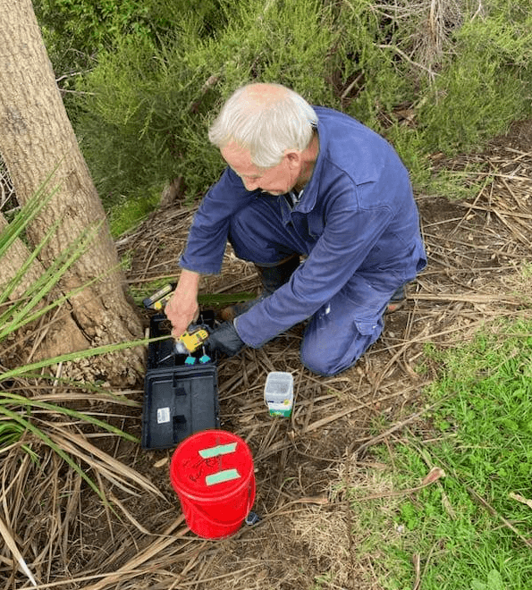 Row Robinson crouches down at the base of a tī kouka tree to set a black trap for catching rats, he has white hair and is swearing a blue work jumpsuit.