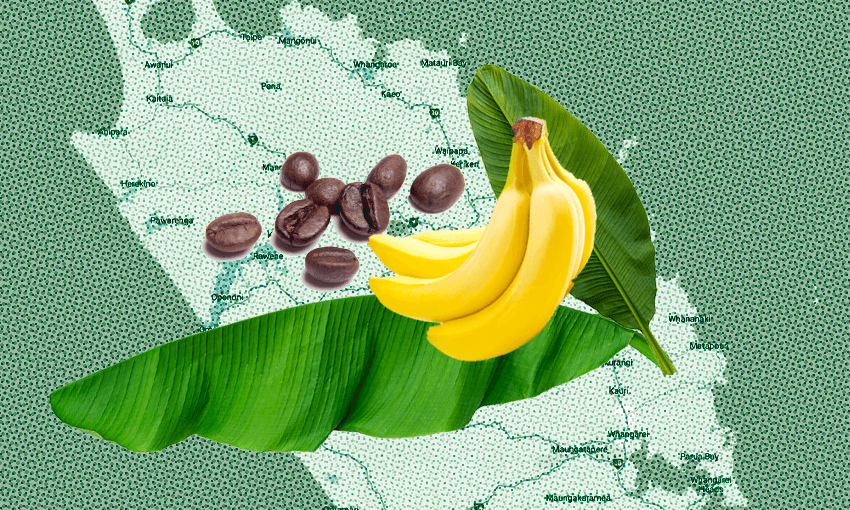 Tropical Northland, 2040. (Image by Tina Tiller)  
