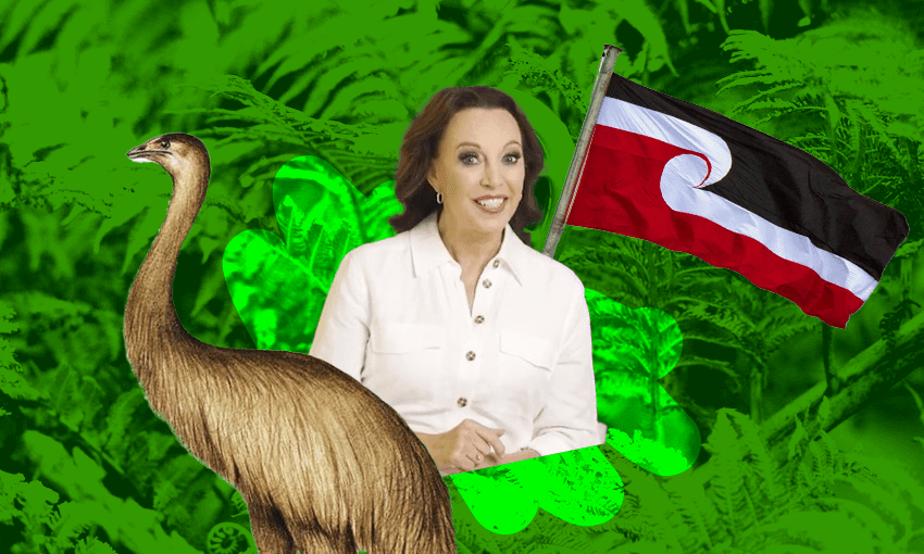 You may not remember Suzanne Paul’s Rawaka Maori Village, but the internet does.