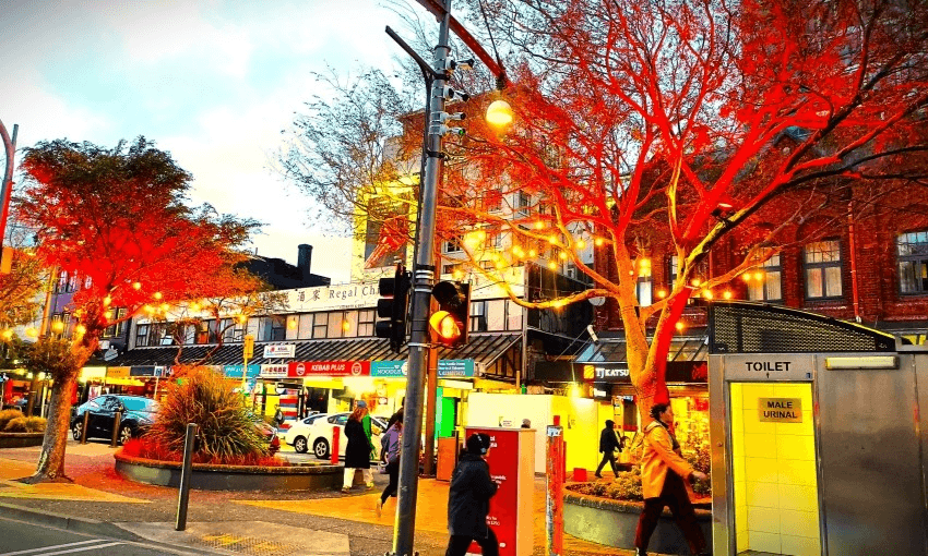 Hanging lights in a tree on Courtenay Place. Photo: Joel MacManus 
