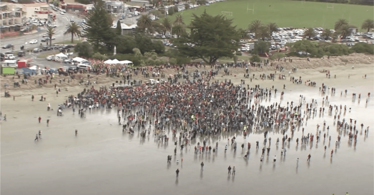 An aerial shot of crowd on Tahunanui Beach, Nelson. (Image: Nelson City Council)