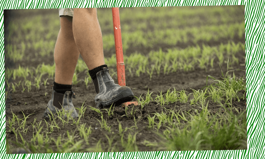 Our farming future could be better for people and the planet. (Photo: Supplied)