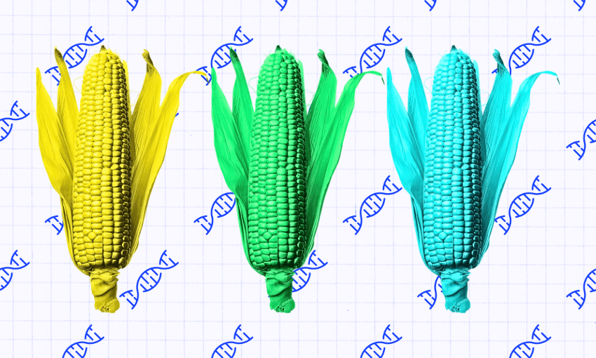 introduction of genetic engineering essay