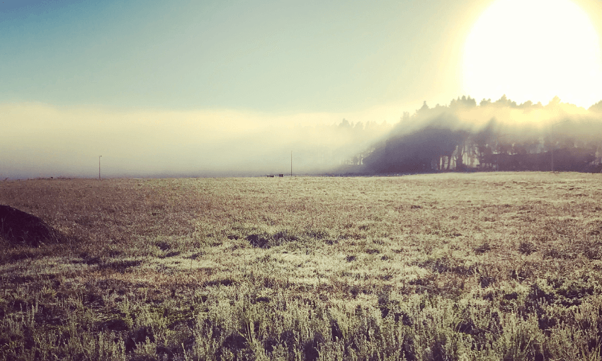 A field in the Waikato with a foggy sky and frosty ground