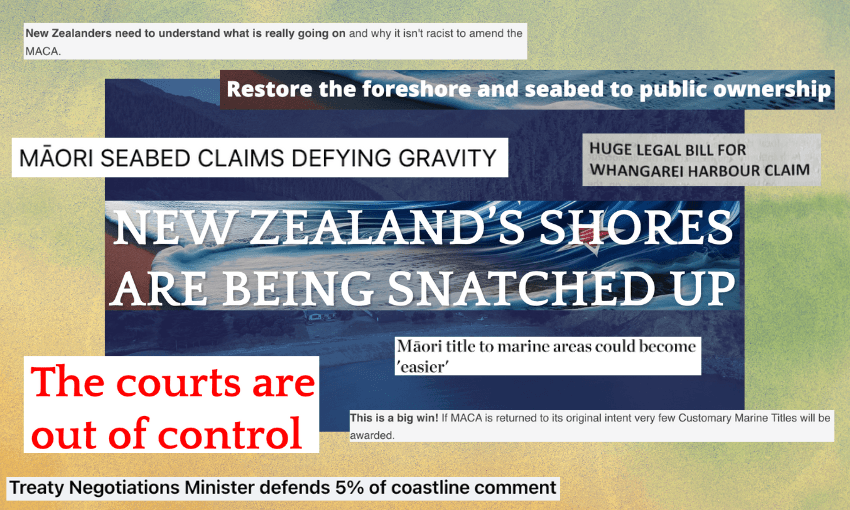 A series of headlines and screenshots relating to customary marine title claims.