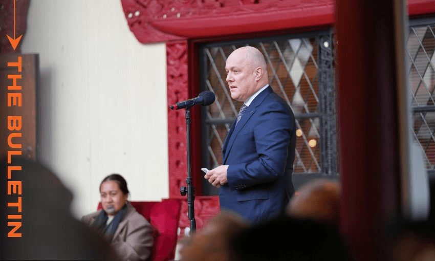 Luxon speaks at Tūrangawaewae (Image: Christopher Luxon / Facebook)