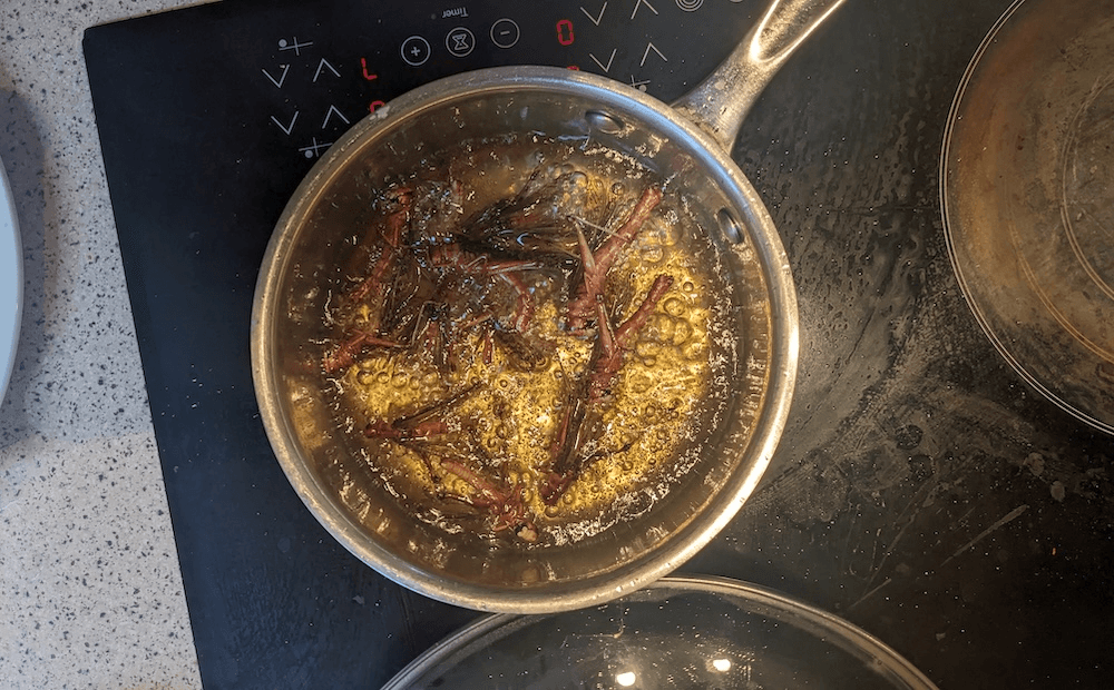 locusts sizzle in hot oil