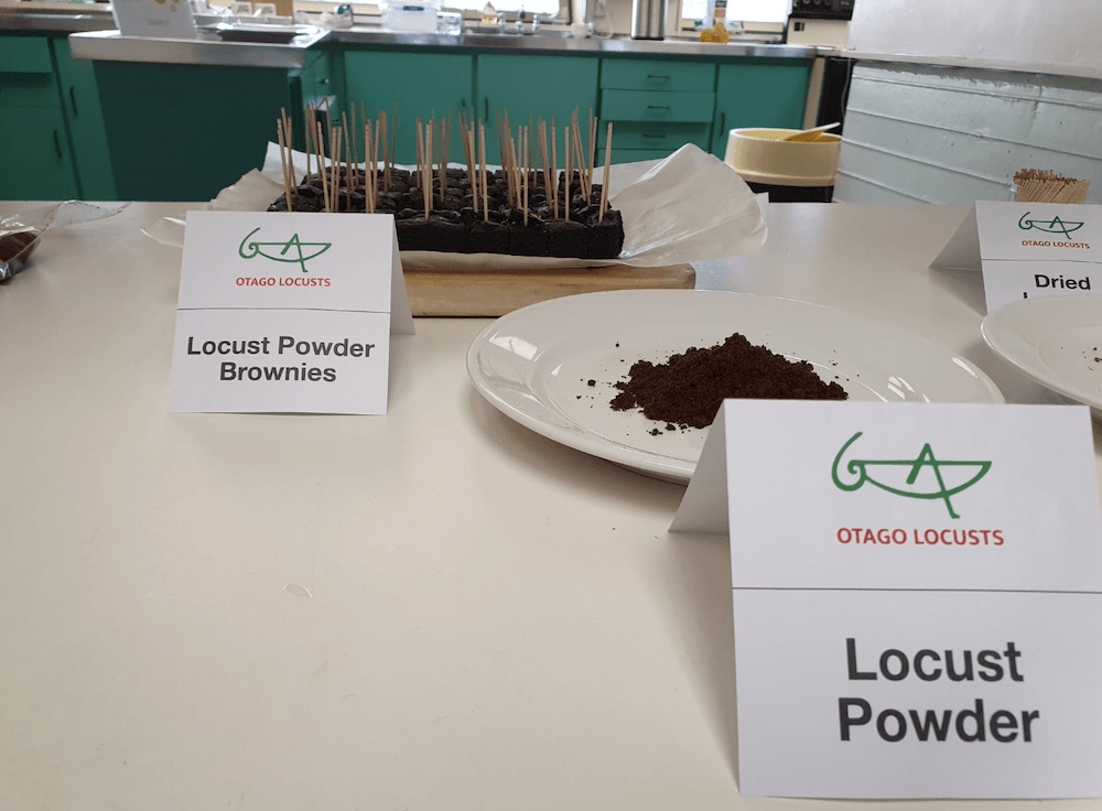 a table with brownies labelled 'locust powder' with a stylized green Otago Locusts logo