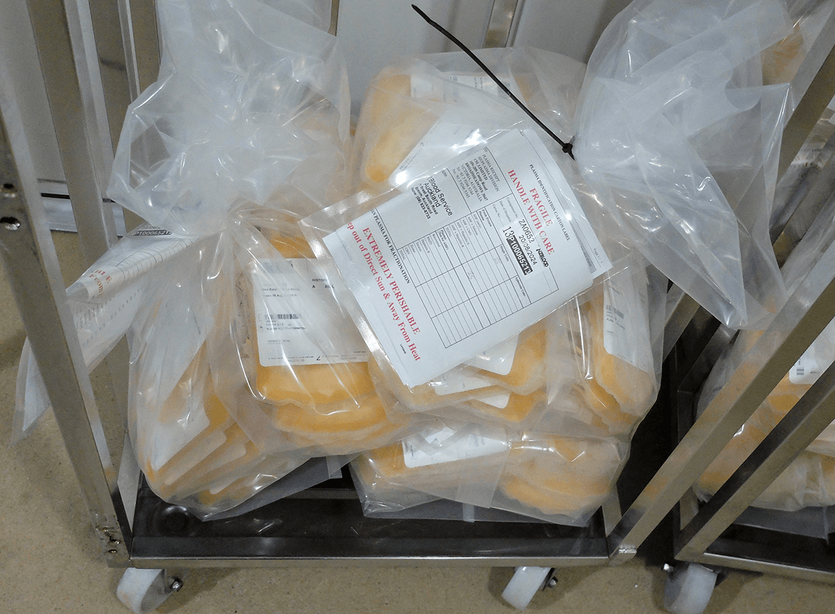 Frozen plasma donations waiting to be sent to Australia for processing. (Photo: Gabi Lardies).