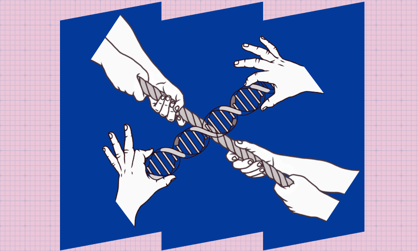 Getty Images; additional design The Spinoff