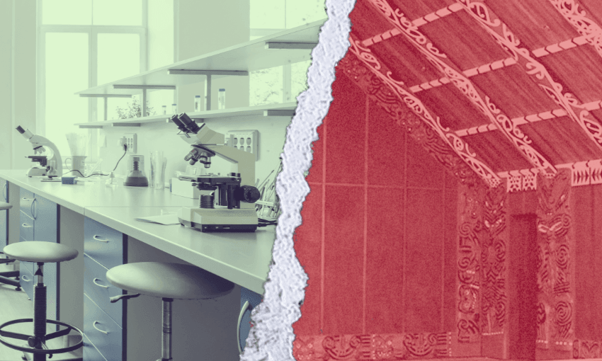 on one side of the image is a science laboratory with bench, stools and microscopes, on the other is the inside of a wharenui. A ripped page effect divides the image