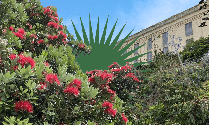 Photo: Stewart Sowman-Lund