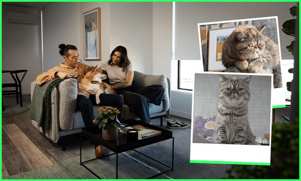 Auckland apartment complex Resido is challenging the norm by welcoming both two-legged and four-legged residents. (Photos: Kiwi Property / Tommy de Silva) 
