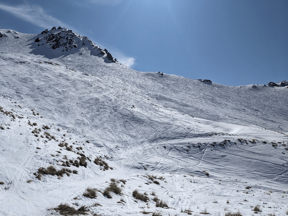 a sunny day on a snow field with lots of tussock protruding above the snow pack